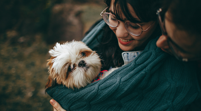 Cuidados básicos para tu animal de compañía Blog GES Formación